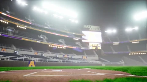 Empty night baseball and cricket arena in fog and illuminated by spotlights 3d Stock Footage 163724650