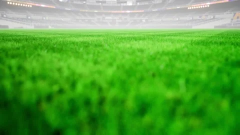 Empty night baseball and cricket arena in fog and illuminated by spotlights 3d Stockbeeldmateriaal 163725334