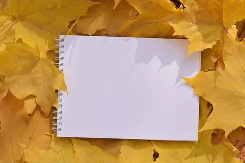 An empty notebook among the leaves Stock Photos