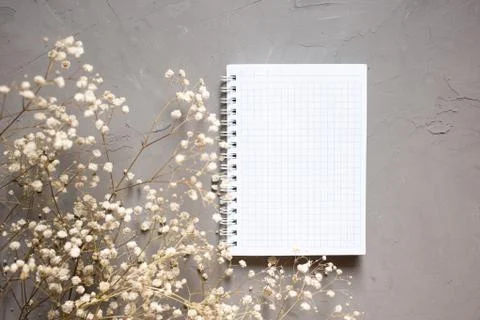 Empty notebook and dry flower on gray background. flay lay copy space. Stock Photos