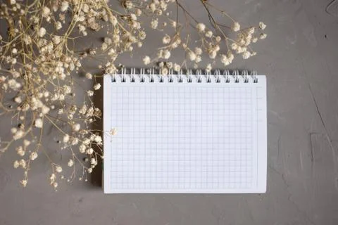 Empty notebook and dry flower on gray background. flay lay copy space. Foto stock