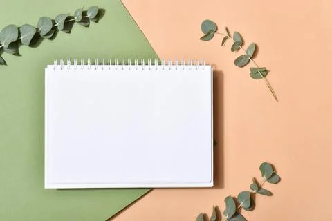 An empty notebook on a beige background with eucalyptus branches. A romantic Stock-Fotos