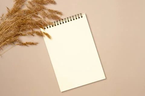 Empty notebook with dried spikelet grass on beige background. Flat lay, top.. Stock Photos