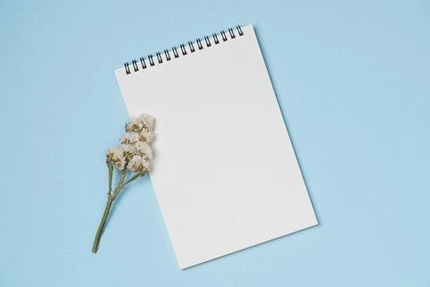 Empty notebook with flower on blue background from above. Copy space Stock Photos