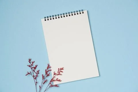 Empty notebook with flower on blue background from above. Copy space Stock Photos