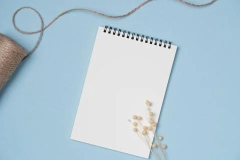 Empty notebook with flower on blue background from above. Copy space Stock Photos