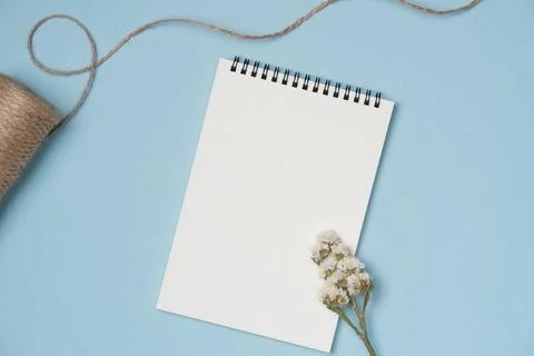 Empty notebook with flower on blue background from above. Copy space Stock Photos