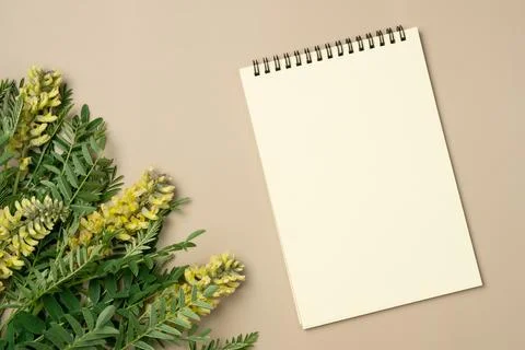 Empty notebook with flowers on beige background. Flat lay, top view. Copy spa Stock Photos