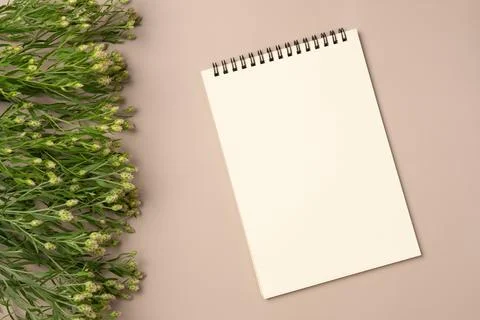 Empty notebook with flowers on beige background. Flat lay, top view. Copy spa Stock Photos