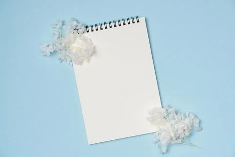 Empty notebook with flowers on blue background from above. Copy space Stock Photos
