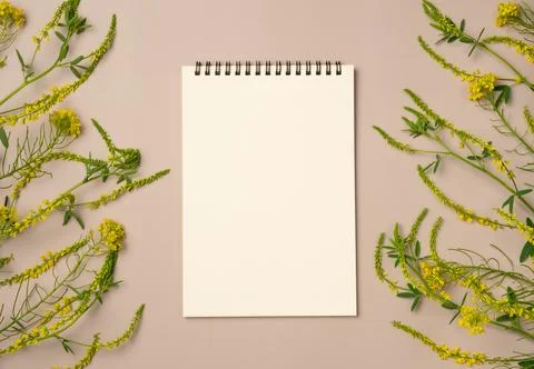 Empty notebook with frame of yellow flowers on beige background. Flat lay, .. Stock Photos