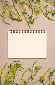 Empty notebook with frame of yellow flowers on beige background. Flat lay, .. Stock Photos