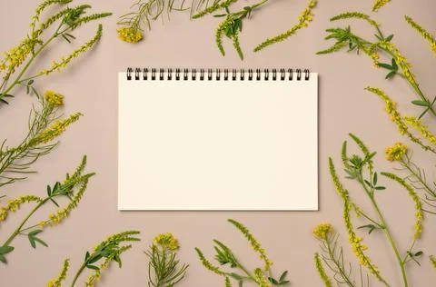Empty notebook with frame of yellow flowers on beige background. Flat lay, to Stock Photos