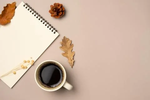Empty notebook with leaves, cone and cup of coffee on beige background from.. Stock Photos