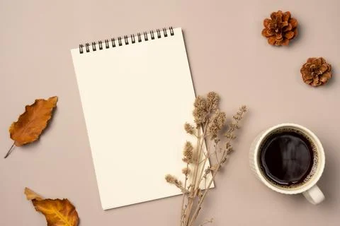 Empty notebook with leaves, cone and cup of coffee on beige background from.. Stock Photos
