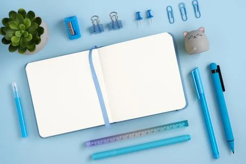 Empty notebook page with blue pen, pins, clips and cat-shaped eraser 스톡 사진