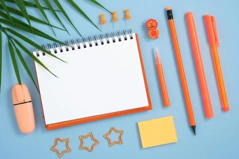 Empty notebook page with orange pen, erasers, pins, clips and lion-shaped era Stock Photos