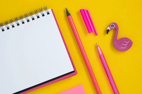 Empty notebook page with pink stationery. Eraser in form of flamingo. Stock Photos