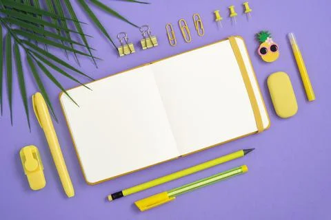 Empty notebook page with yellow pen, pins, clips and pineapple-shaped eraser Stock Photos