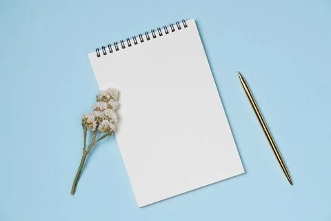 Empty notebook with pen and flower on blue background from above. Copy space Stock Photos