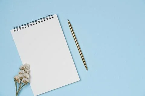 Empty notebook with pen and flower on blue background from above. Copy space Stock Photos