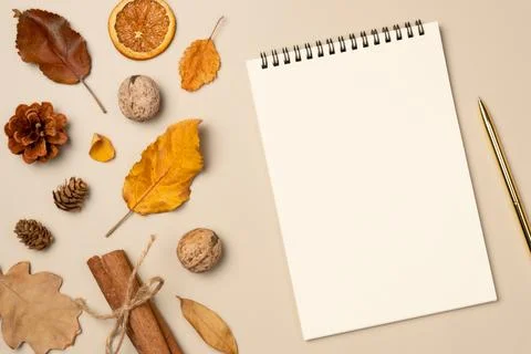 Empty notebook with pen on beige background. from above. Autumn composition.. Stock Photos