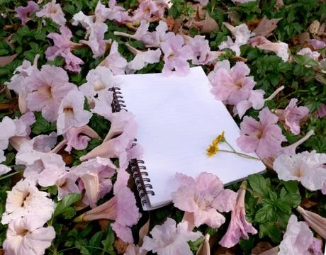 Empty notebook with pink flower Stock Photos