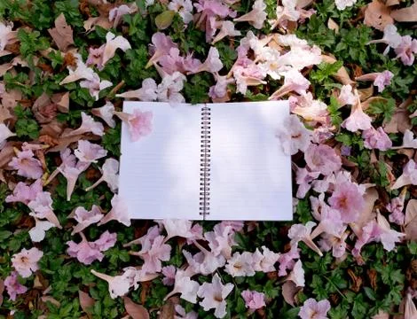 Empty notebook with pink flower Stock Photos