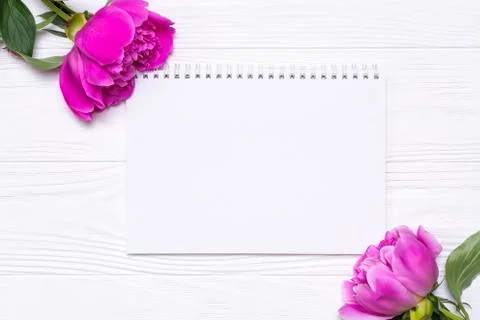 Empty notebook with place for text and peonies flowers on a white Stock Photos