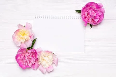 Empty notebook with place for text and peonies flowers on a white background Stock Photos