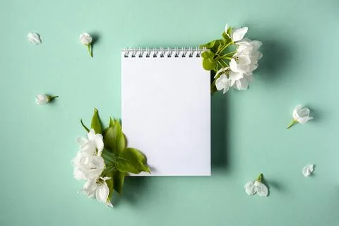 Empty notebook with spring flowering branches on a turquoise background. Flat Stock Photos