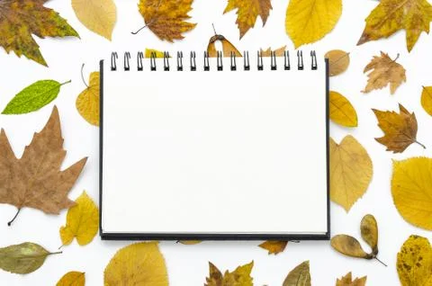 Empty notepad flat lay mockup for your art, picture or hand lettering Stock Photos