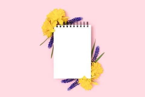 Empty notepad mockup with frame made of muscari and narcissus flowers. Stock Photos