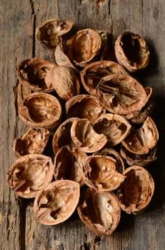 Empty nuts shells Stock Photos