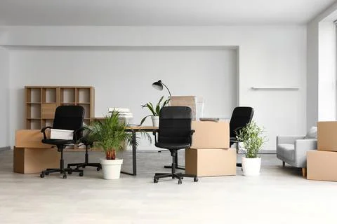 Empty office space moving day with cardboard boxes, furniture, and potted pla Stock Photos