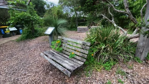 Empty old bench Video stock 143649847