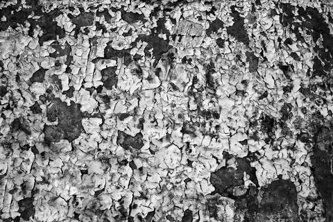 Empty Old Brick Wall Texture. Painted Distressed Wall Surface. Grungy Wide Br Stock Photos