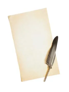 Empty old paper and beautiful feather Stock-Fotos