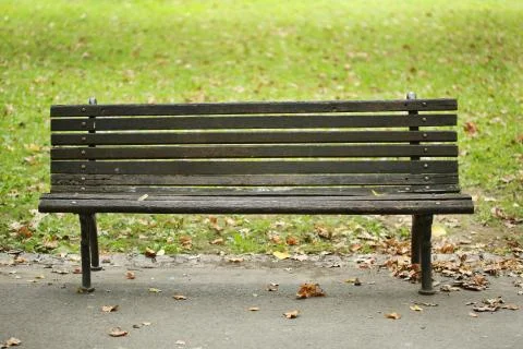 Empty old park bench and fallen autumn leaves Stock Photos