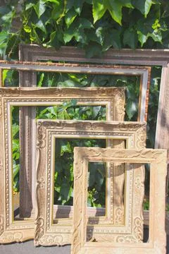 Empty old picture frames on green plants background Stock Photos