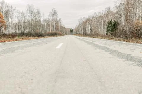 Empty old road with white road marking. Autumn environment. Close-up Stock Photos