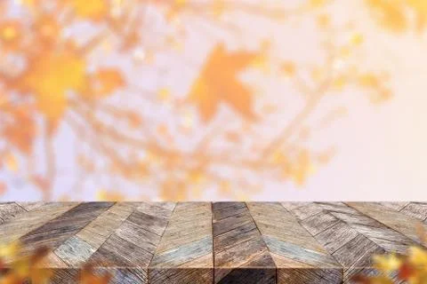 Empty old rustic wood plank table top with blur maple leaf with sunlight and  Stock Photos