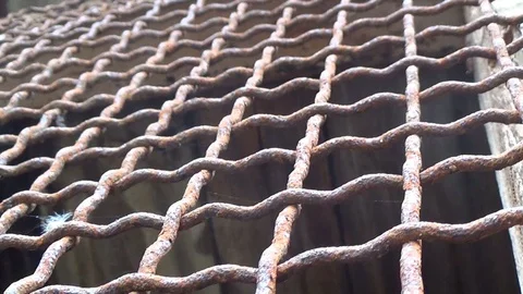 Empty old rusty metal cage for pets Stock Footage 119888683