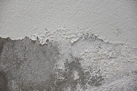 Empty old wall texture background, Painted distressed wall surface, Grunge sh Stock Photos