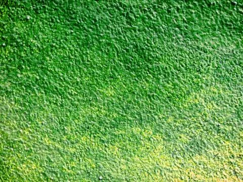 Empty old wall texture. Painted distressed wall surface, Copy space, Cement w Stock Photos