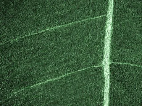 Empty old wall texture. Painted distressed wall surface, Copy space, Cement w Stock Photos