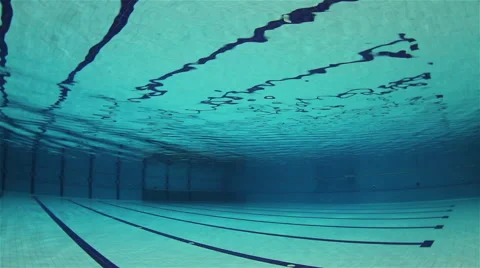 Olympic Swimming Swimming Pool Stock Video Footage | Royalty Free