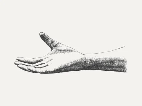 Empty Open Human Hand Gesture - Sketch Isolated on White Background. Hand Drawn Stock Illustration