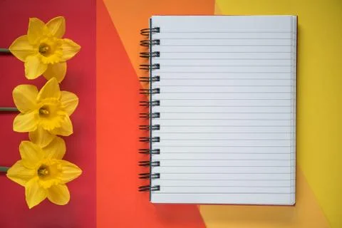 Empty Opened Notebook with Yellow Daffodils on Background. Top view Flat Lay Stock Photos