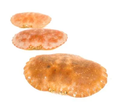 Empty orange crab shells Stock Photos